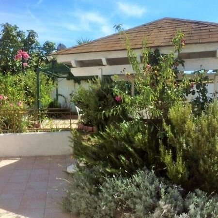 Appartement 3 Chambres Proche Mer Entre Palavas Les Flots Et Frontignan Plage Dans Maison Avec Jardin Villeneuve-les-Maguelonne Bagian luar foto