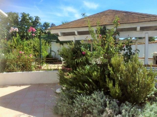 Appartement 3 Chambres Proche Mer Entre Palavas Les Flots Et Frontignan Plage Dans Maison Avec Jardin Villeneuve-les-Maguelonne Bagian luar foto